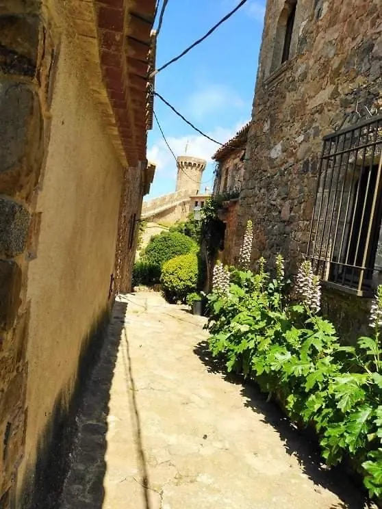 Sant Jordi Santiago Apartment Tossa de Mar Spain